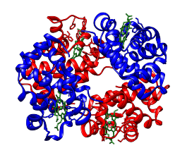 haemoglobin.png