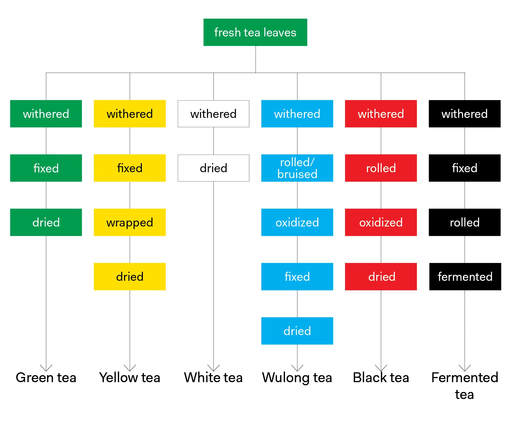tea-processing-chart.webp